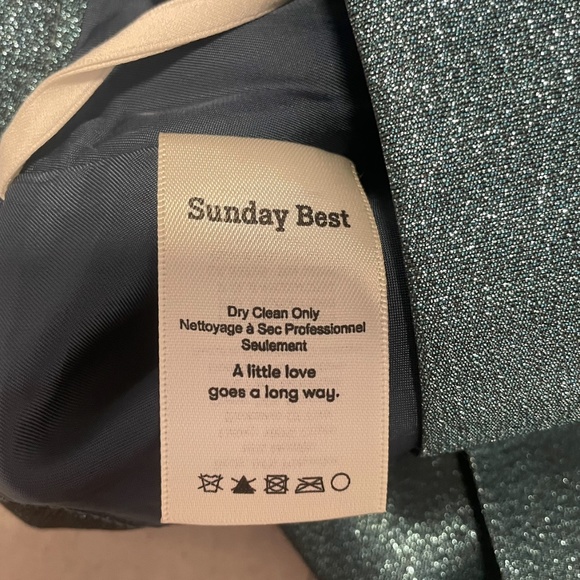 Aritzia Sparkly Shimmer Pleated Skirt - Picture 5 of 9